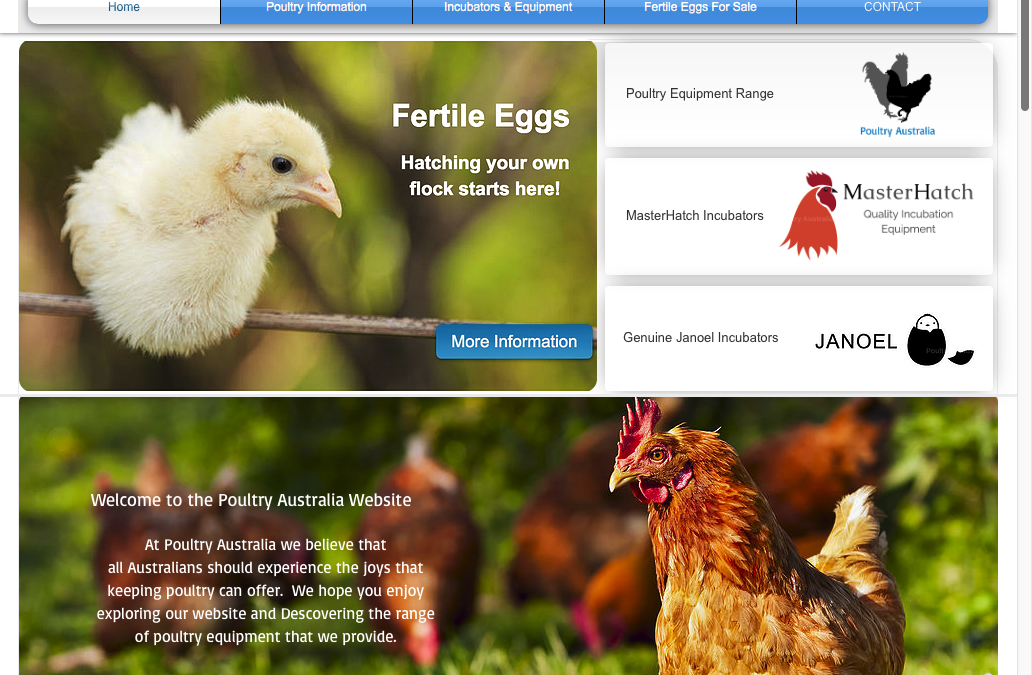 CASE STUDY: Poultry Australia Enters Platinum® Freight Management Young Entrepreneurs Program