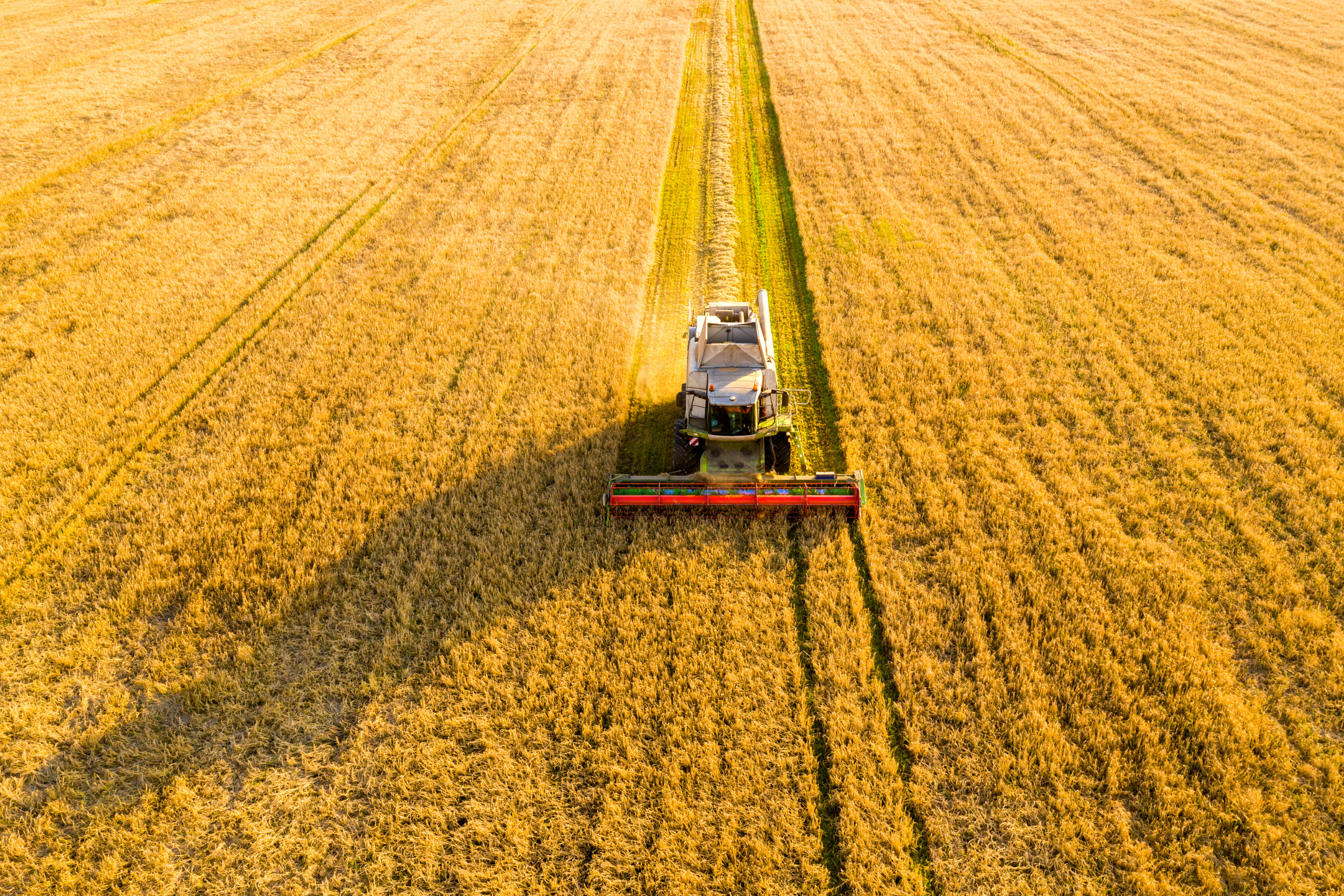 Depositphotos_32704879_S Agri Equipment