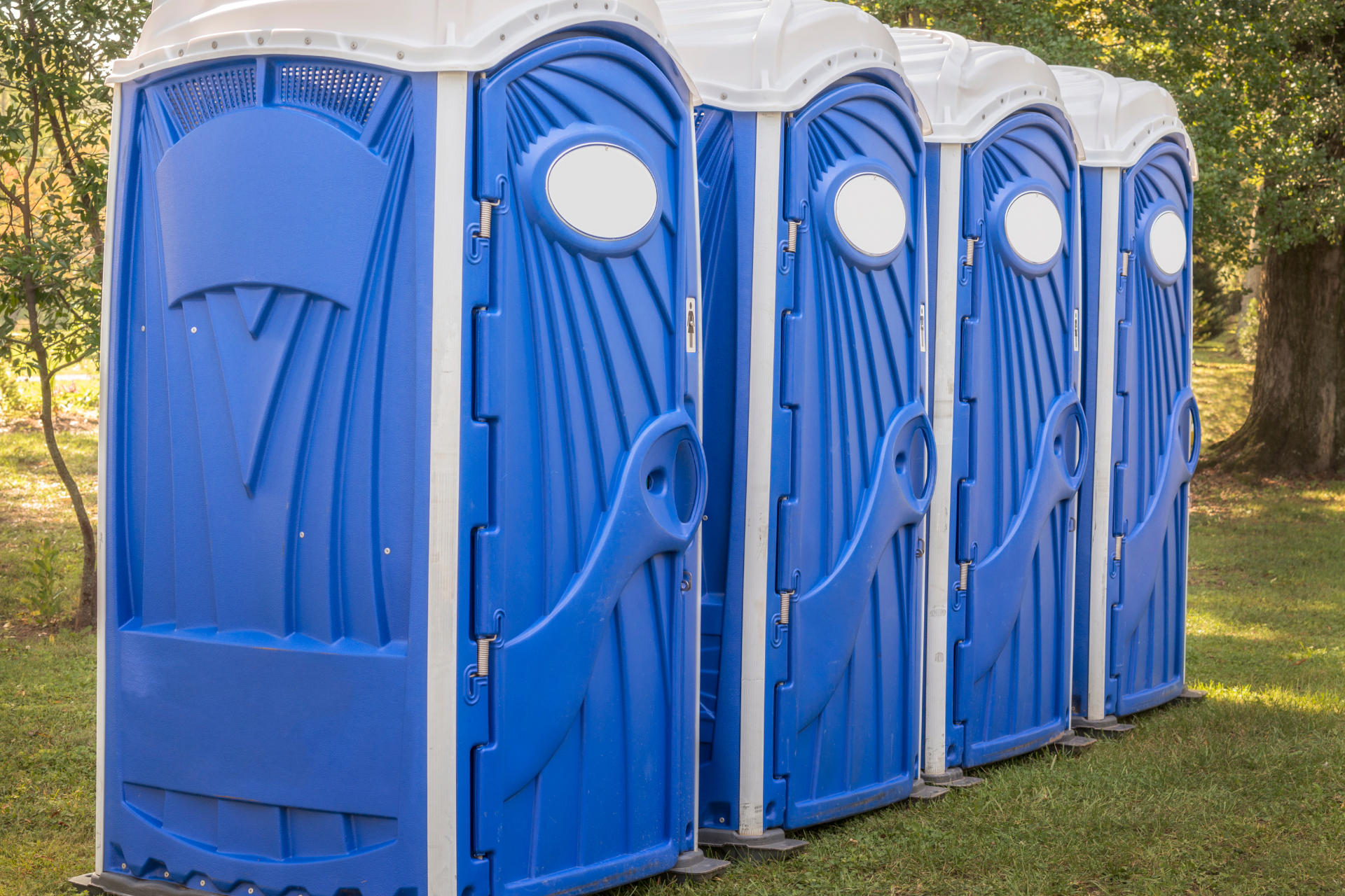 Luxury Toilets